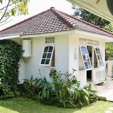 Pondok Plantation Luxury Mountain Escape Bedugul Bedugul  Zewnętrze zdjęcie