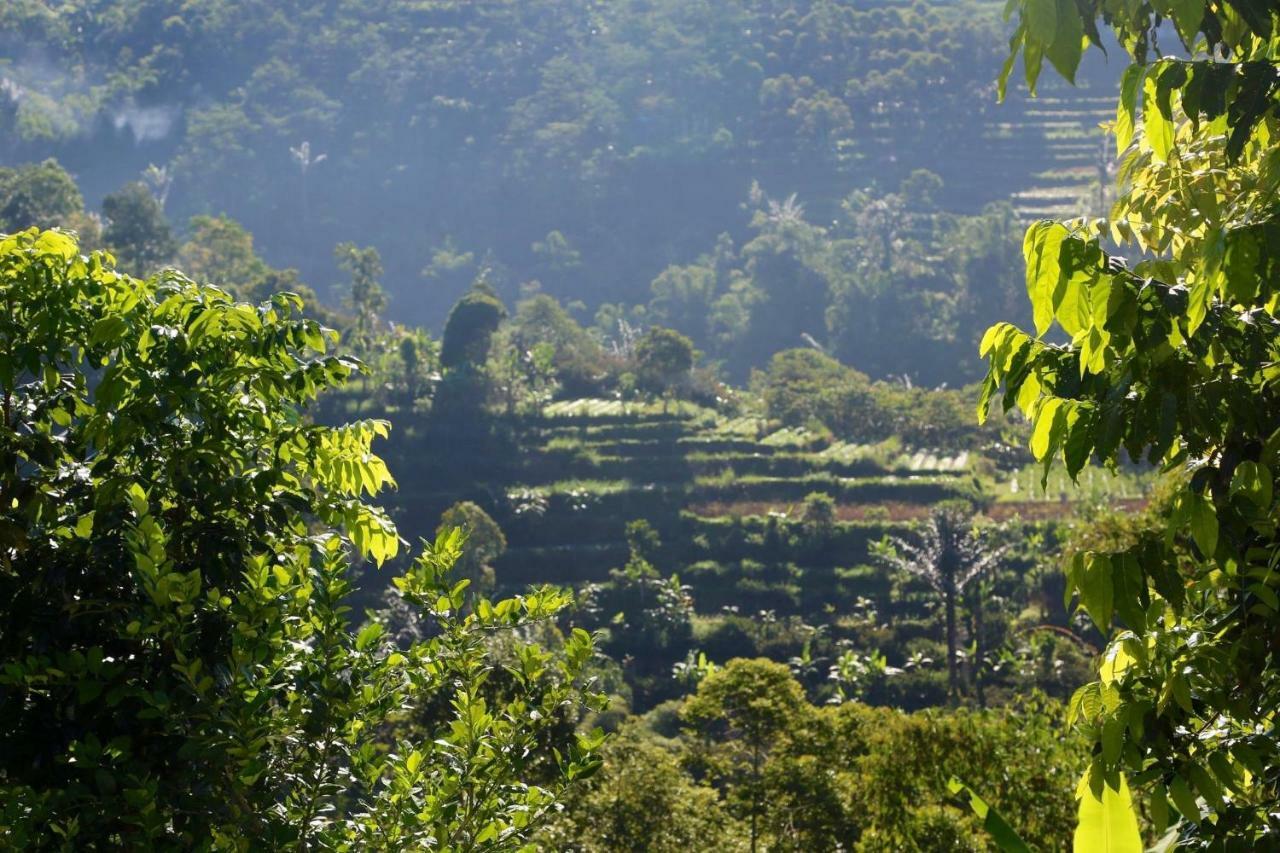 Pondok Plantation Luxury Mountain Escape Bedugul Bedugul  Zewnętrze zdjęcie