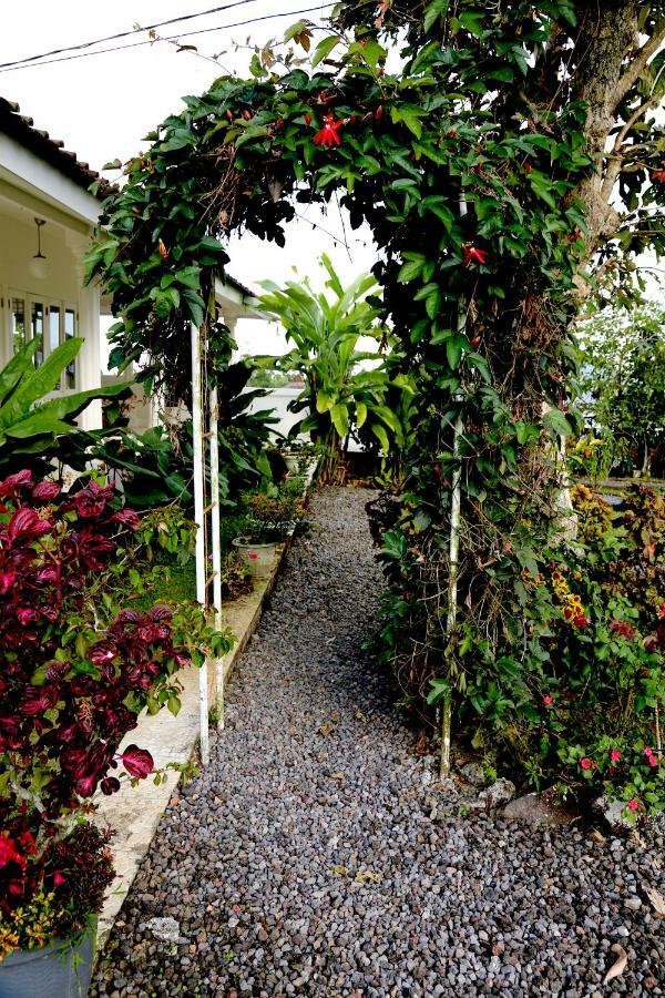 Pondok Plantation Luxury Mountain Escape Bedugul Bedugul  Zewnętrze zdjęcie