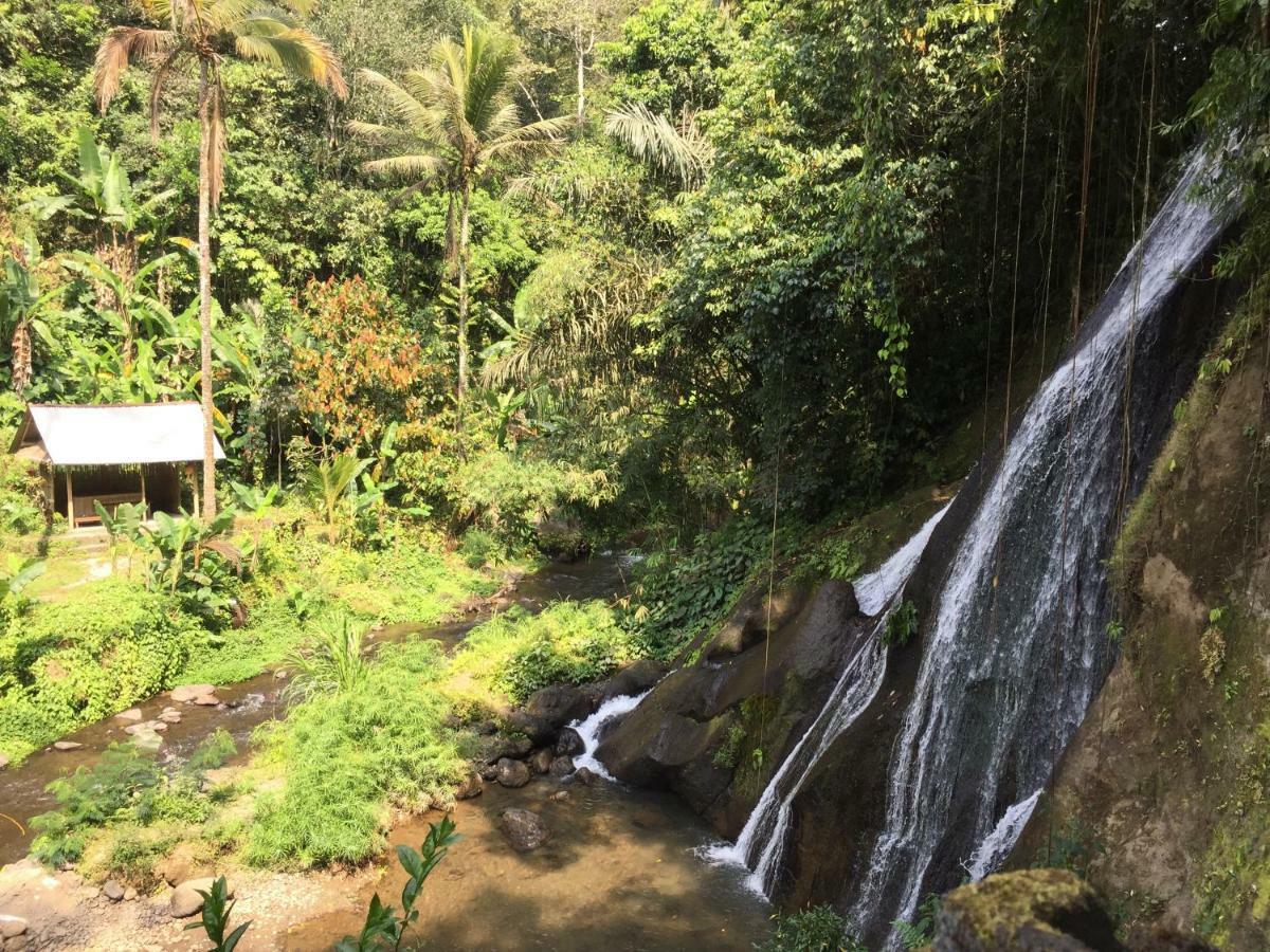 Pondok Plantation Luxury Mountain Escape Bedugul Bedugul  Zewnętrze zdjęcie