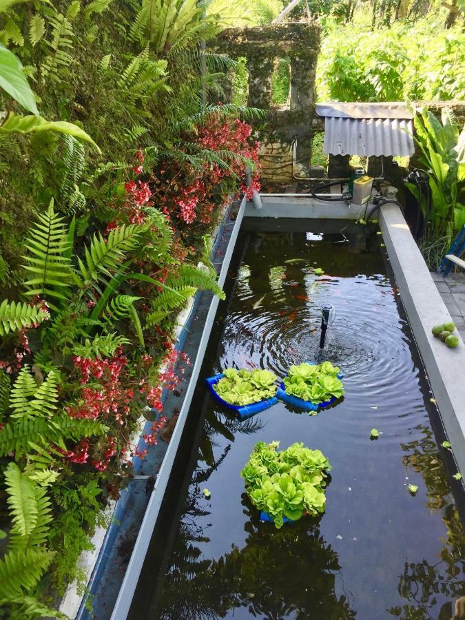 Pondok Plantation Luxury Mountain Escape Bedugul Bedugul  Zewnętrze zdjęcie