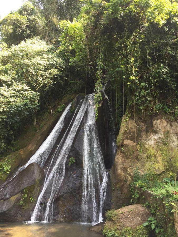 Pondok Plantation Luxury Mountain Escape Bedugul Bedugul  Zewnętrze zdjęcie