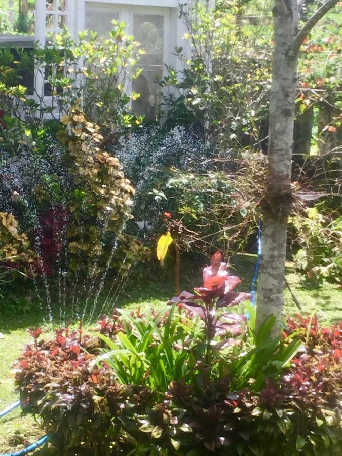 Pondok Plantation Luxury Mountain Escape Bedugul Bedugul  Zewnętrze zdjęcie