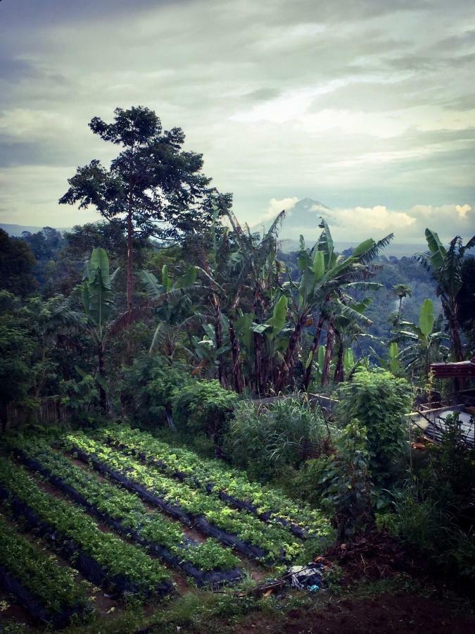 Pondok Plantation Luxury Mountain Escape Bedugul Bedugul  Zewnętrze zdjęcie